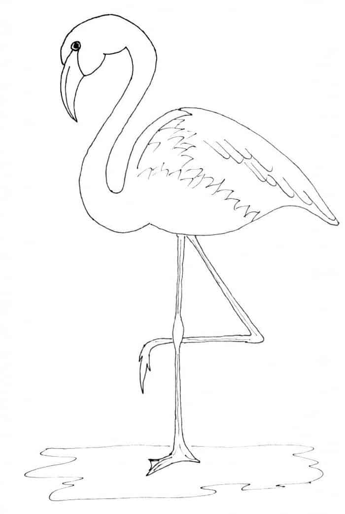 flamingo coloring pages for adults
