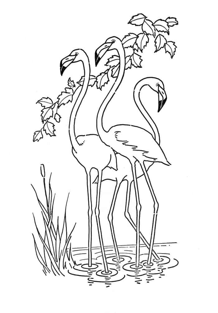 flamingo heart coloring pages