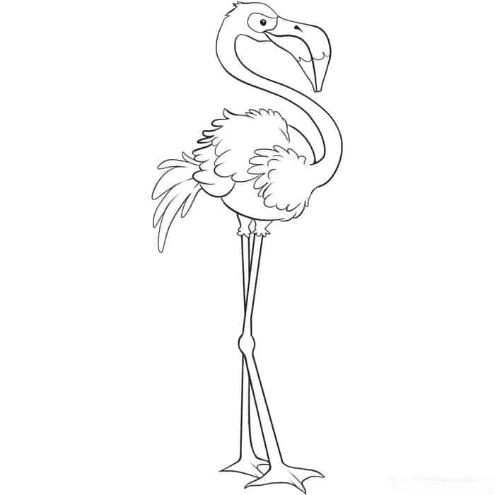 flamingo legs coloring pages
