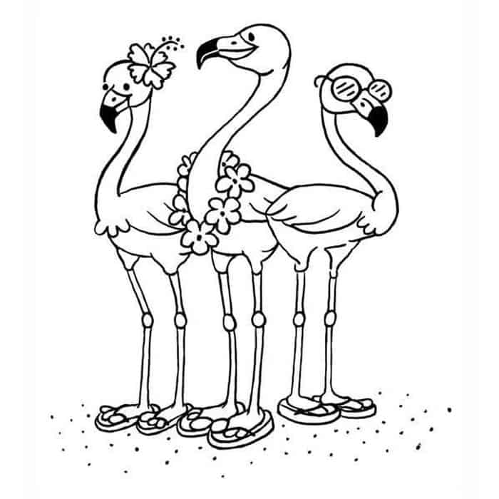 flamingo printable coloring pages