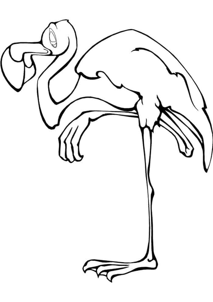 printable coloring pages flamingo