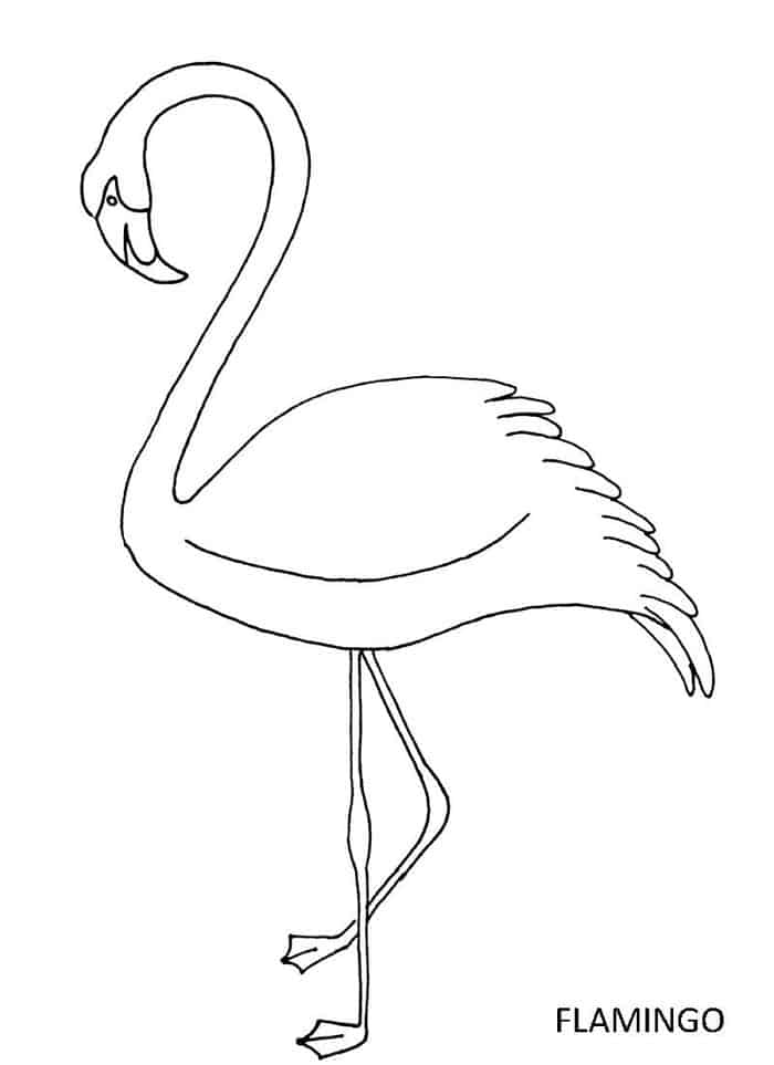 printable coloring pages of a flamingo
