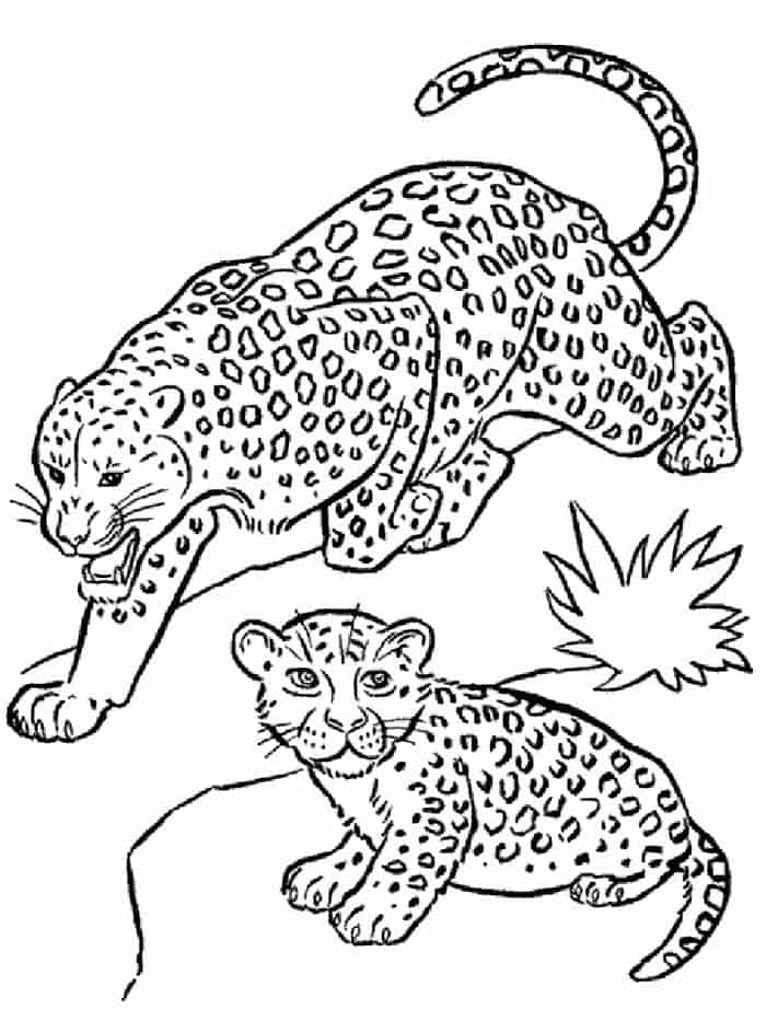 8x10 Leopard Coloring Pages Printable
