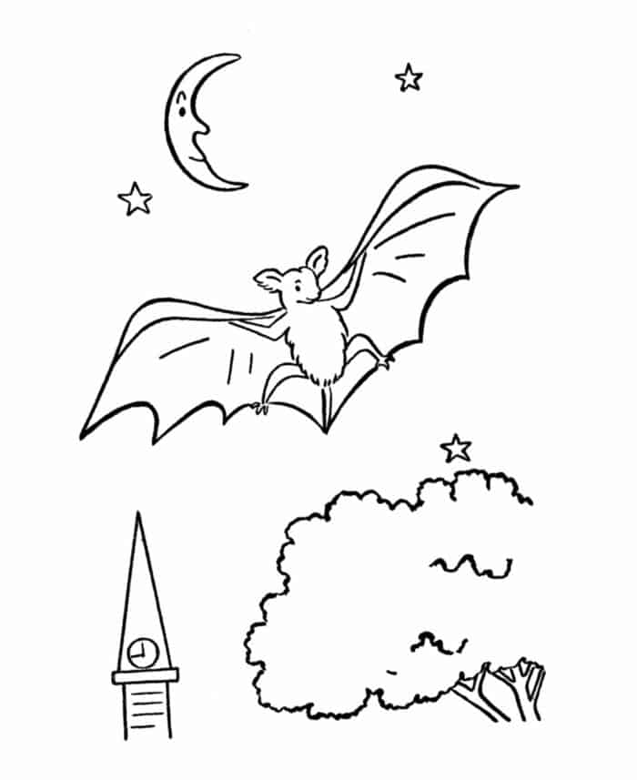Adult Coloring Pages Bat