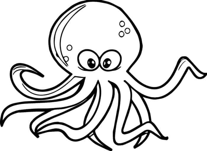 Adult Coloring Pages Octopus Not Pinterest