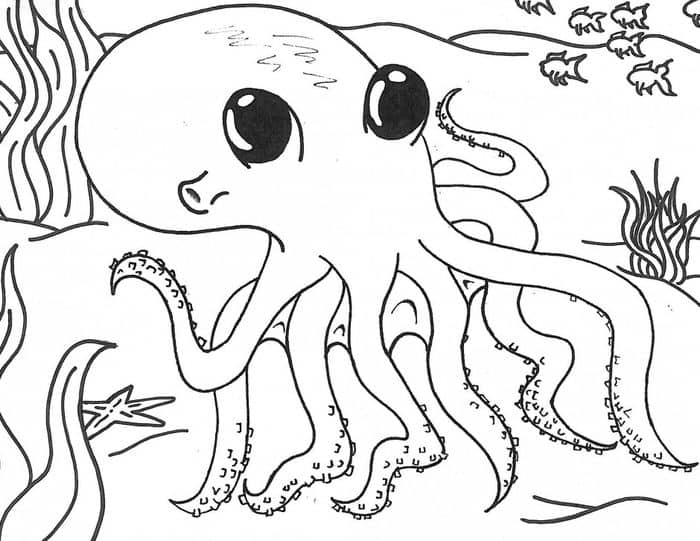 Adult Coloring Pages Octopus