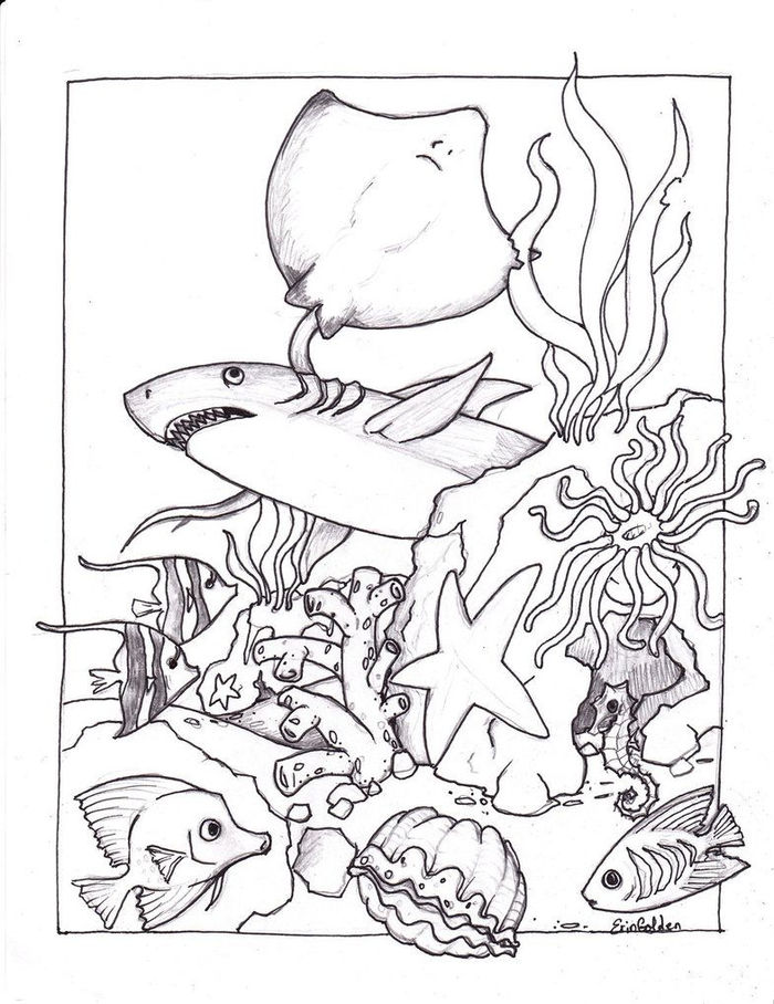 Adult Coloring Pages Sea Animals