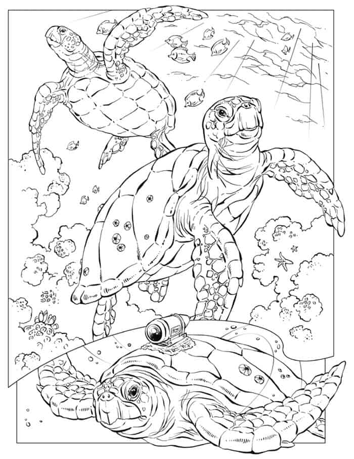 Adult Coloring Pages Sea Turtle Mandala