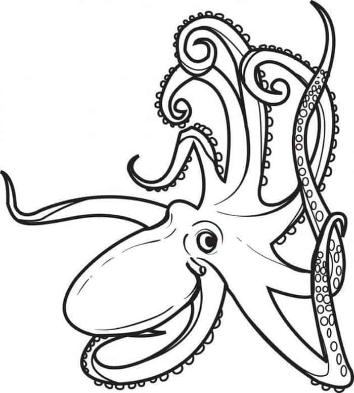 Adult Octopus Coloring Pages