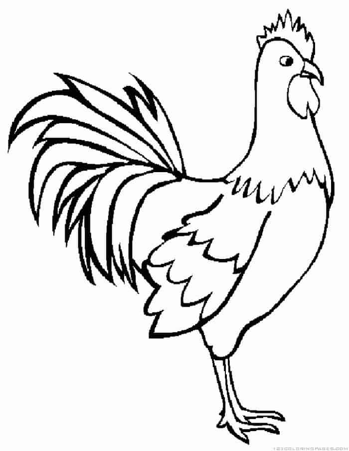 Americana Chicken Coloring Pages
