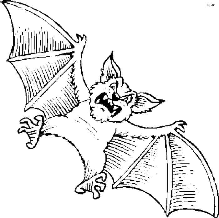 Angry Bat Coloring Pages For Adults