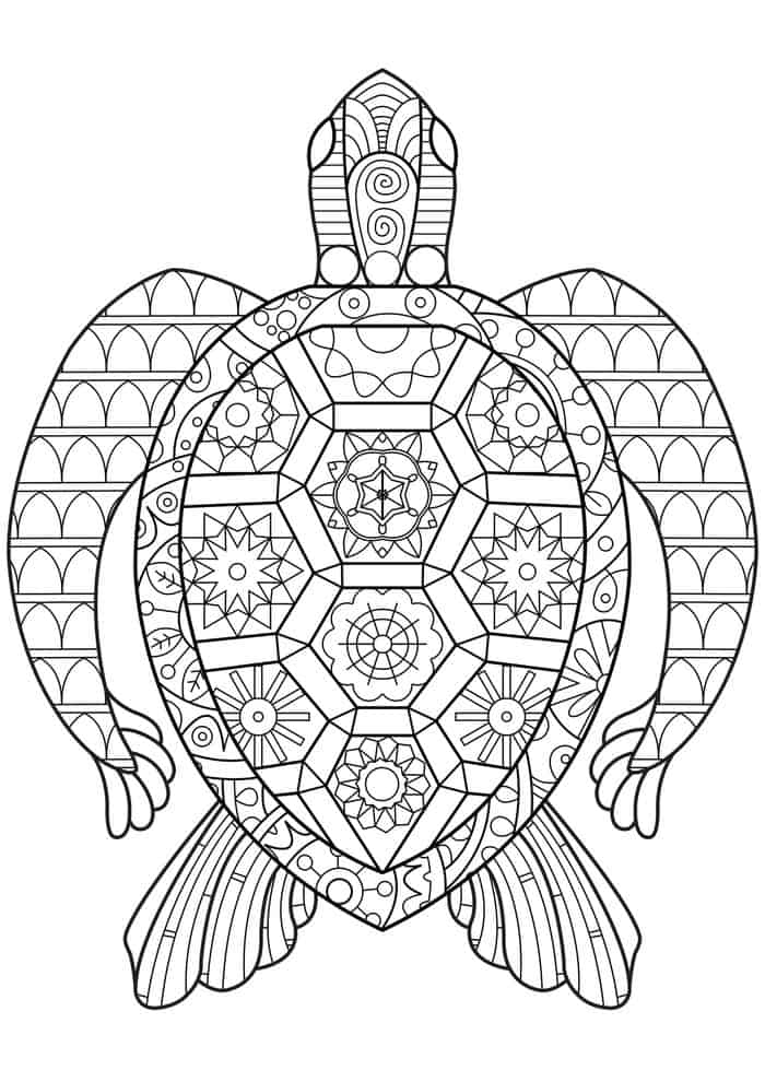 Animal Coloring Pages Sea Turtle Fancy