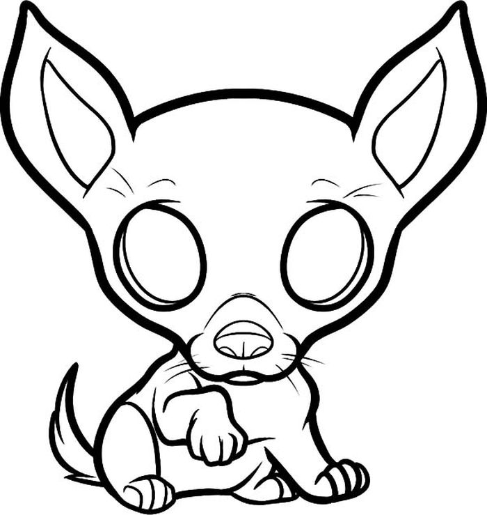 Baby Chihuahua Coloring Pages