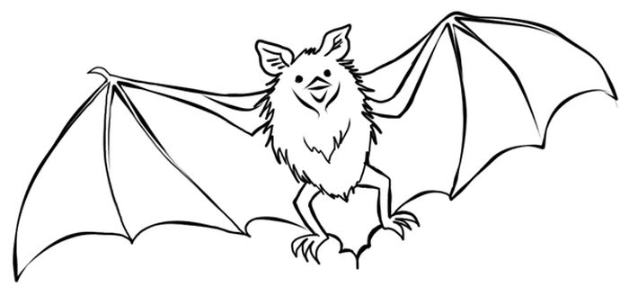 Bat Coloring Pages For Adults