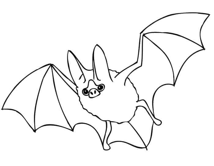 Bat Coloring Pages Preschool