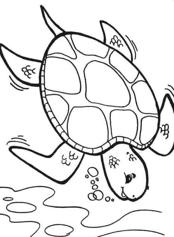 Beachy Sea Turtle Coloring Pages