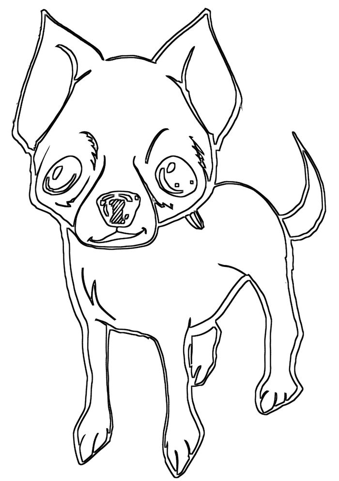 Big Eyed Chihuahua Coloring Pages