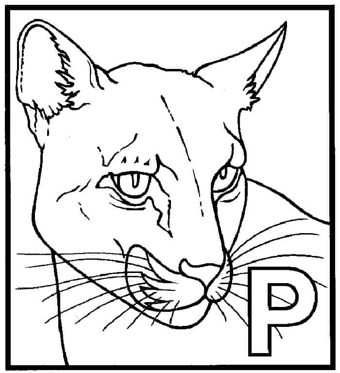 Black Panther Animal Coloring Pages