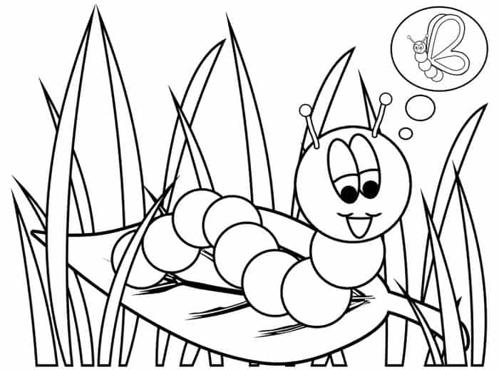 Caterpillar And Butterfly Coloring Pages