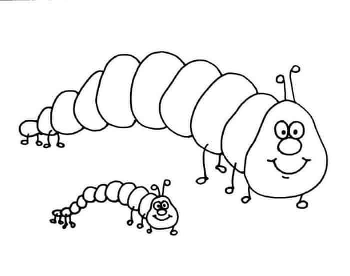 Caterpillar Life Cycle Coloring Pages