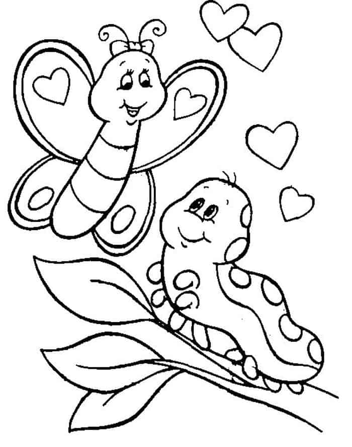 Caterpillar To Butterfly Life Cycle Coloring Pages