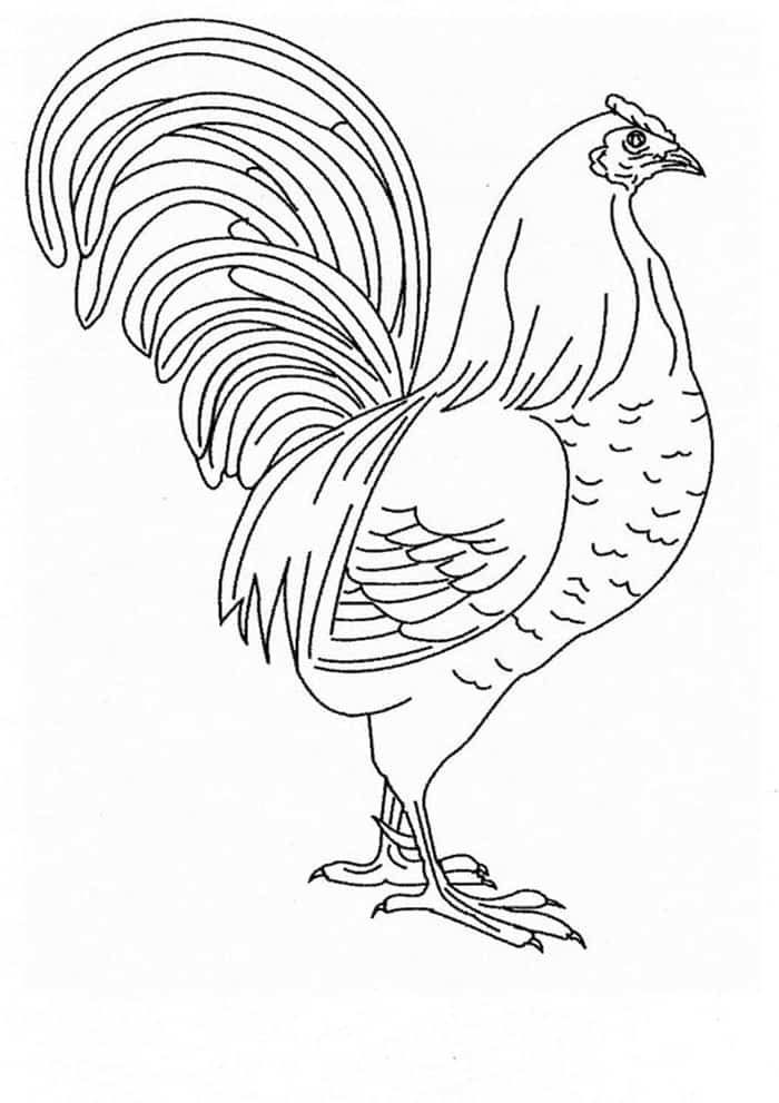 Chicken Coloring Pages For Adults