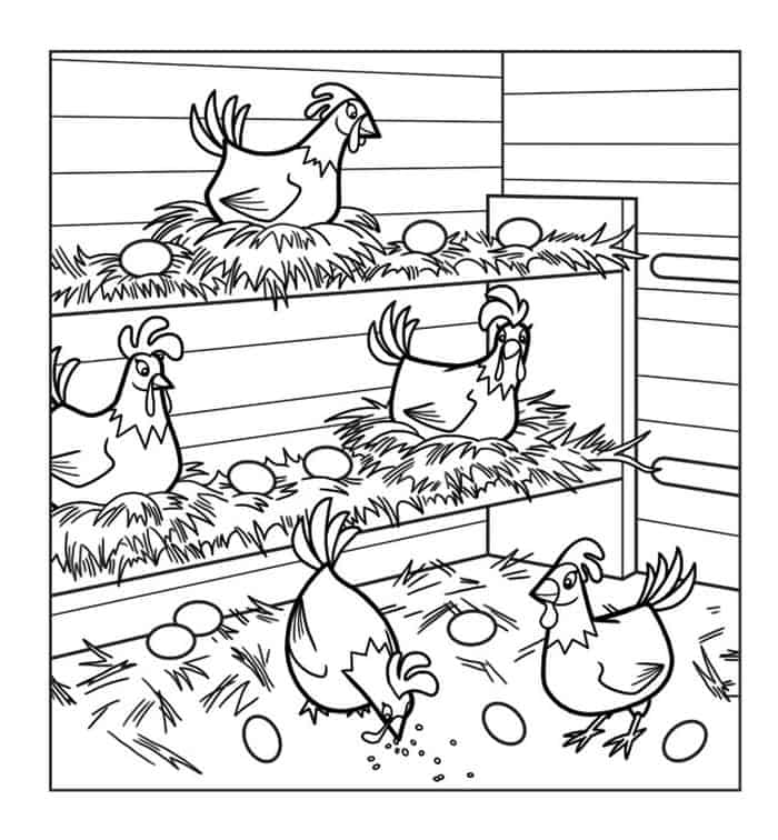Chicken Coop Coloring Pages
