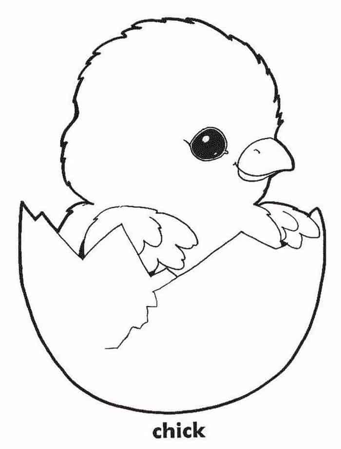Chicken Hatching Coloring Pages