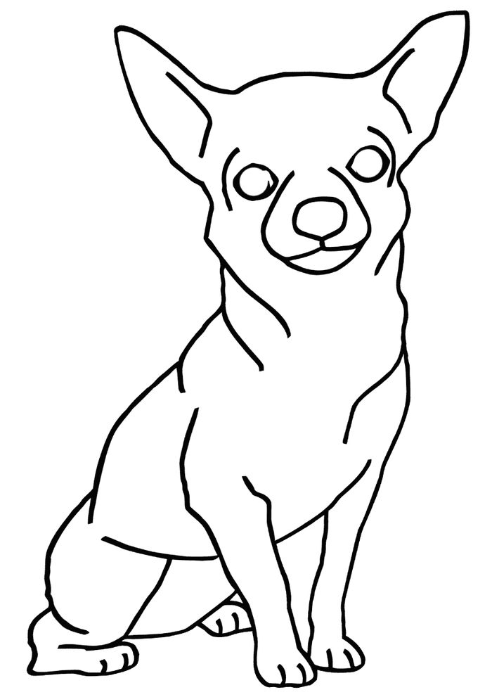Chihuahua Coloring Pages Printables