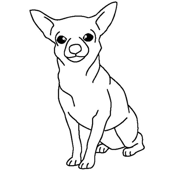 Chihuahua Coloring Pages To Print