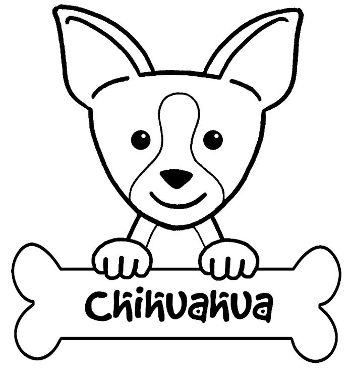 Chihuahua Puppy Coloring Pages