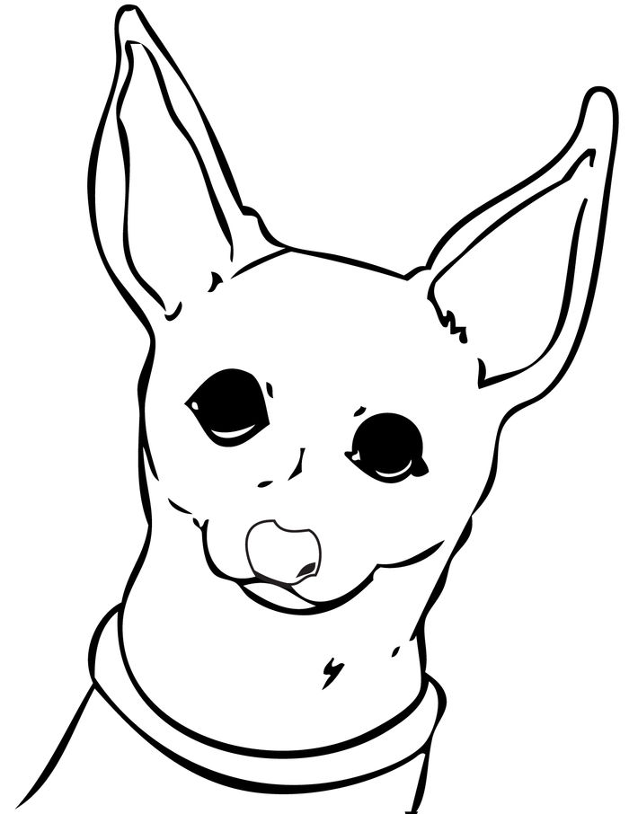 Coloring Pages Chihuahua