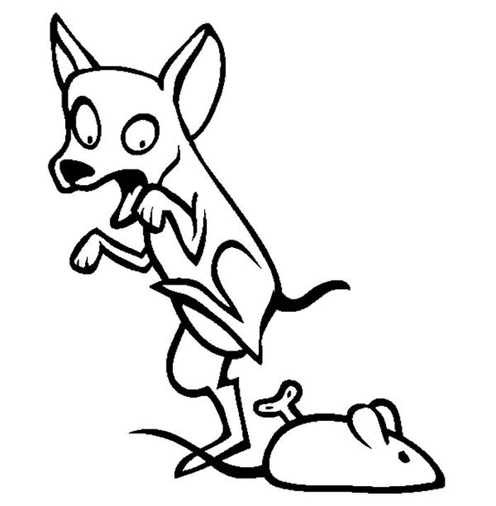 Coloring Pages Dog Chihuahua