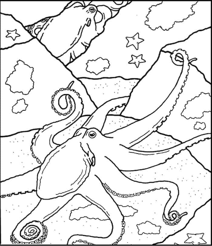 Coloring Pages For Adults Octopus