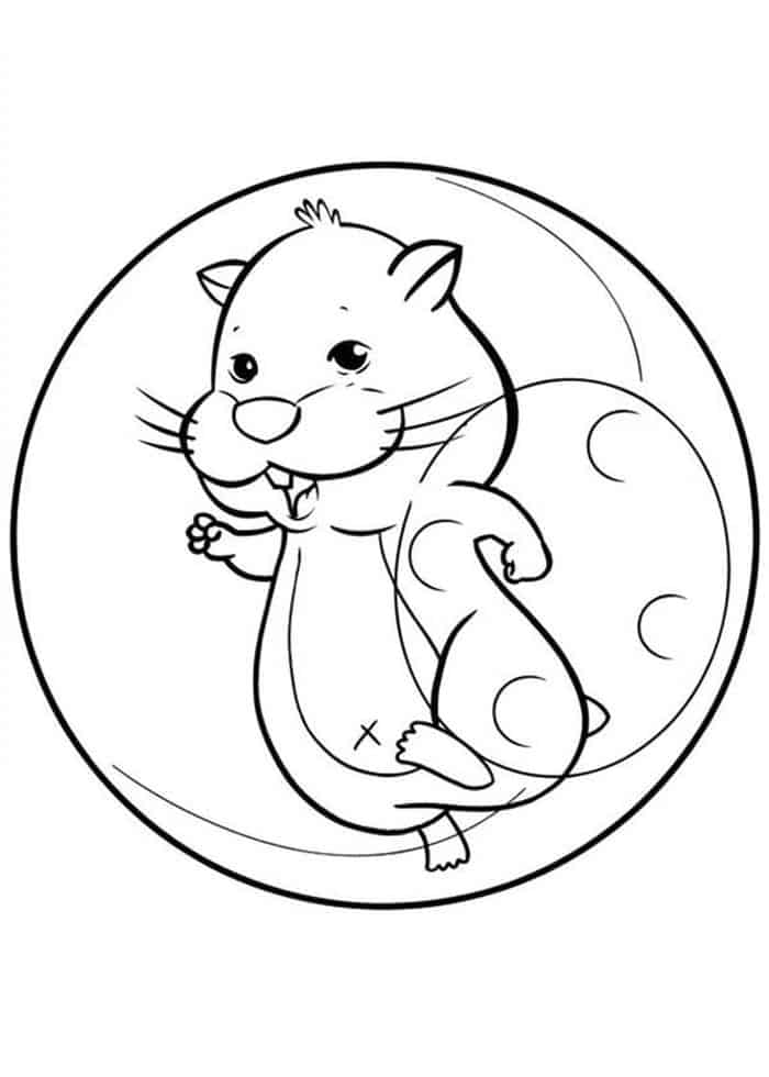 Coloring Pages For Kids Hamster