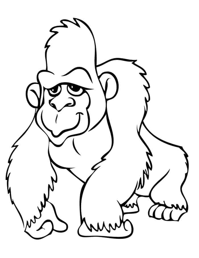 Coloring Pages Gorilla