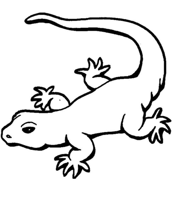 Coloring Pages Leopard Gecko