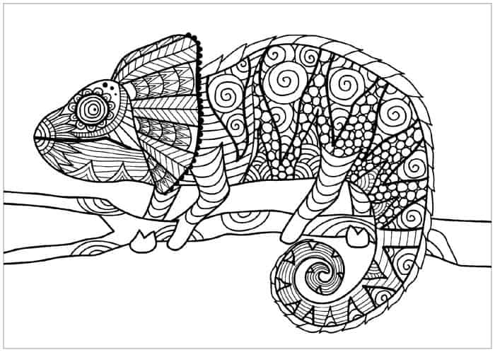 Coloring Pages Lizard Gears