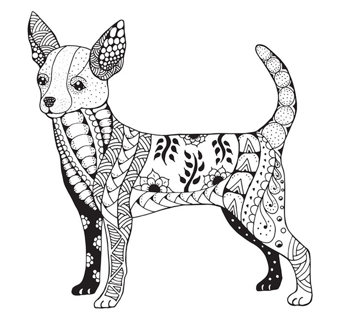 Coloring Pages Of Chihuahua