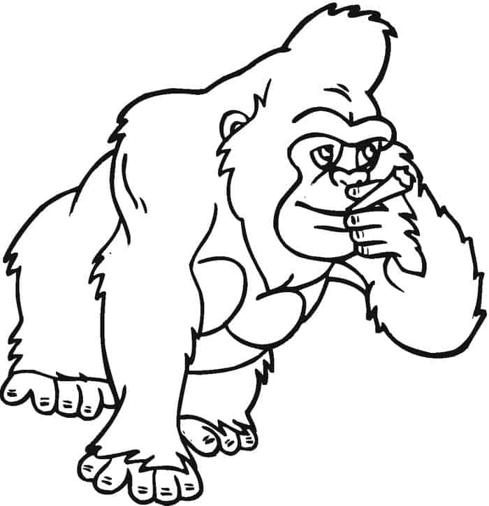 Coloring Pages Of Gorilla