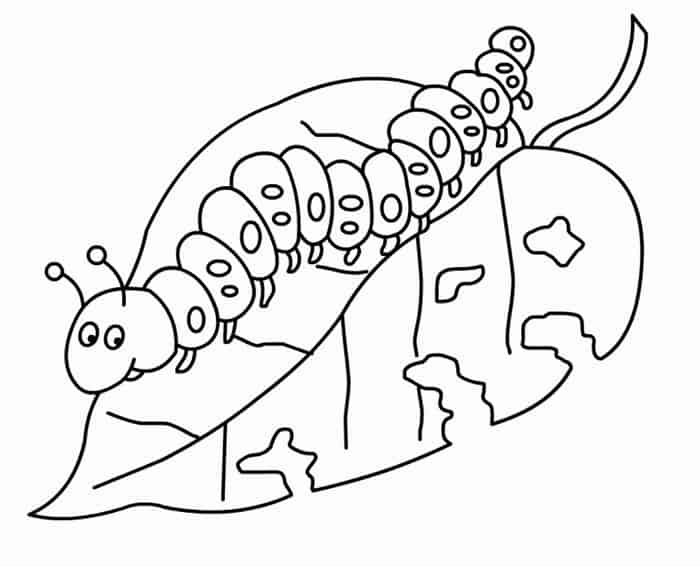 Coloring Pages Of The Very Hungry Caterpillar