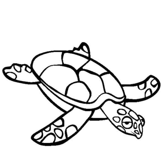 Coloring Pages Of Under The Sea Turtle