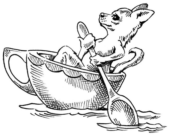 Coloring Pages Of Yorkies Chihuahua Mix