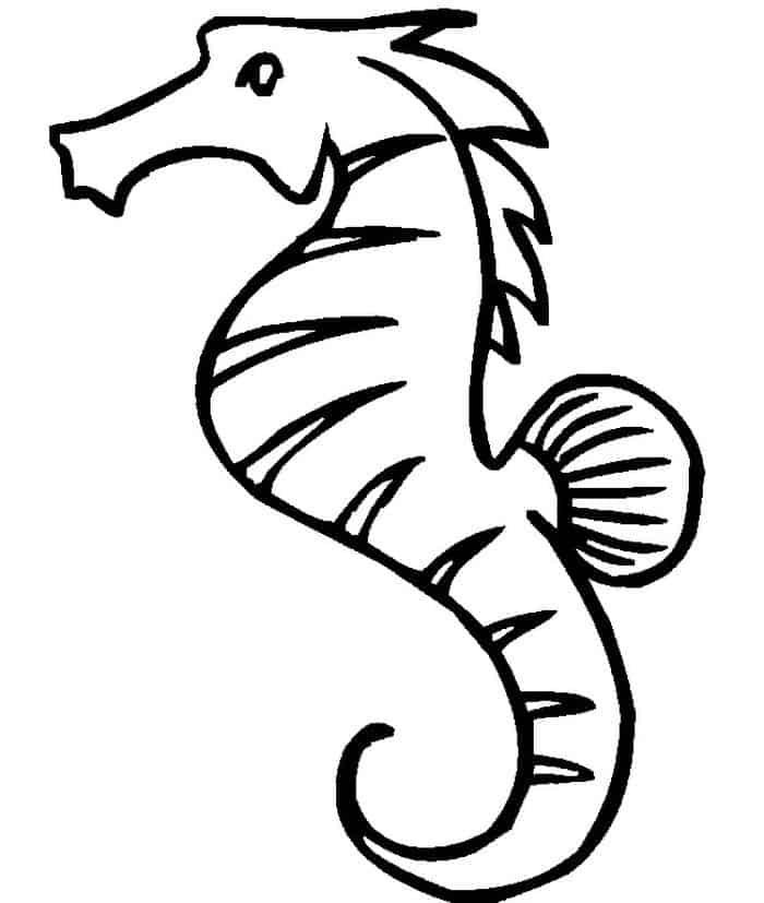Coloring Pages Seahorse Color By Numbers