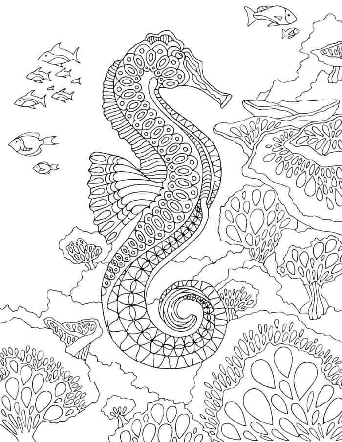 Coloring Seahorse Pages For Adults