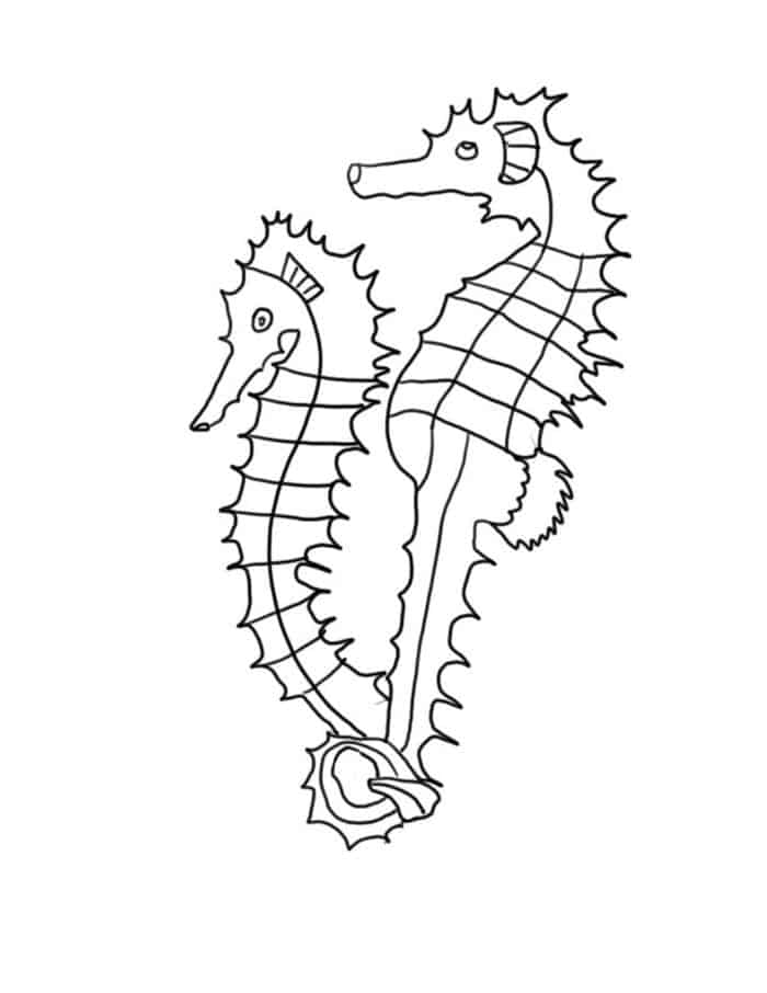 Cool Adult Seahorse Coloring Pages