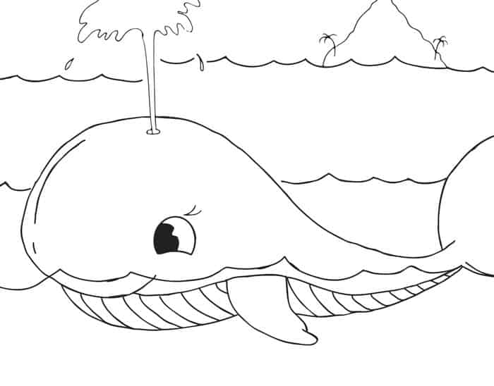 Cute Baby Zoo Whale Coloring Pages
