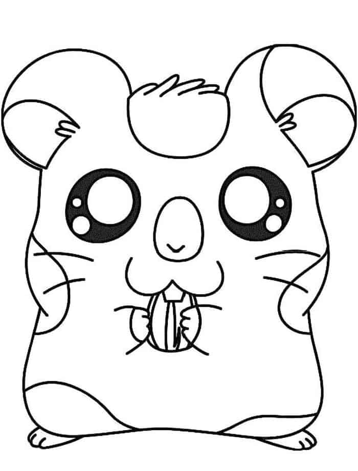 Cute Hamster Free Printable Coloring Pages