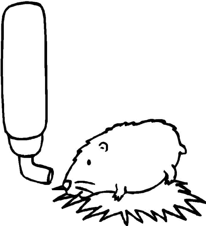 Cute Hamster Reading Book Coloring Pages