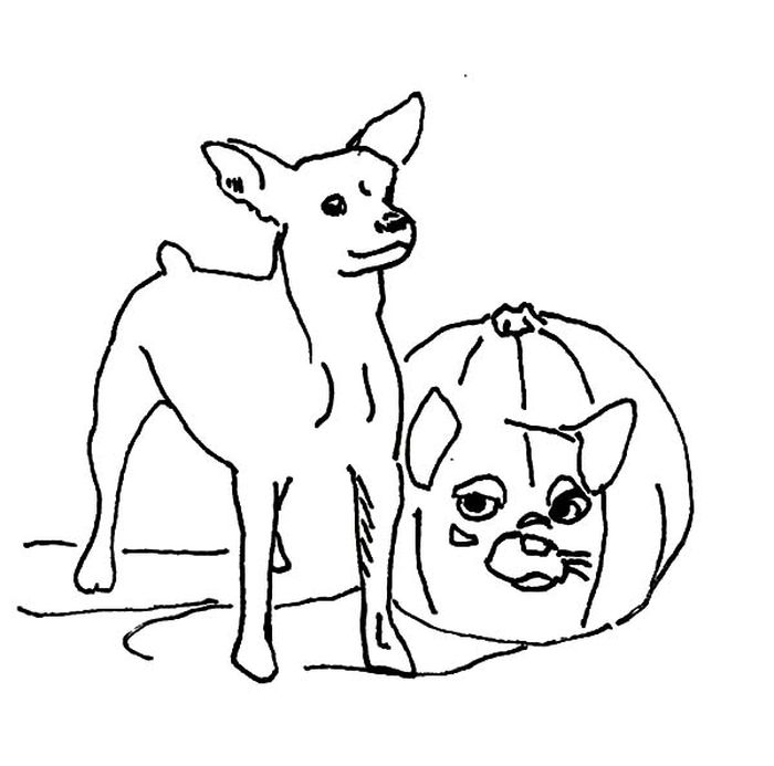 Day Of The Dead Chihuahua Coloring Pages